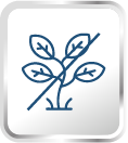 Fenugreek Free